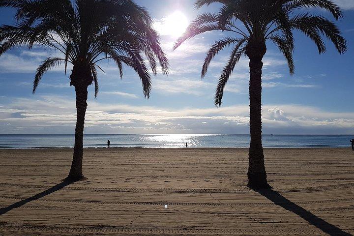 Alicante Highlights Small Group Tour with Castle