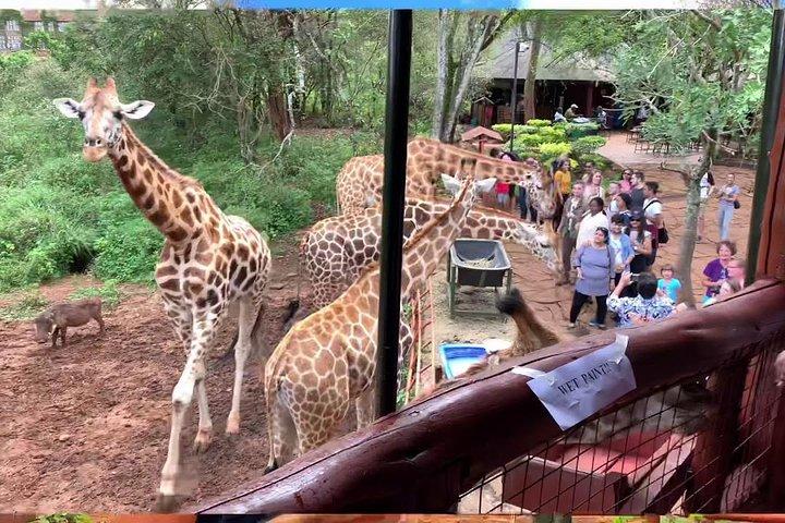 Giraffe Centre, Beads tour, karen Blixen Museum