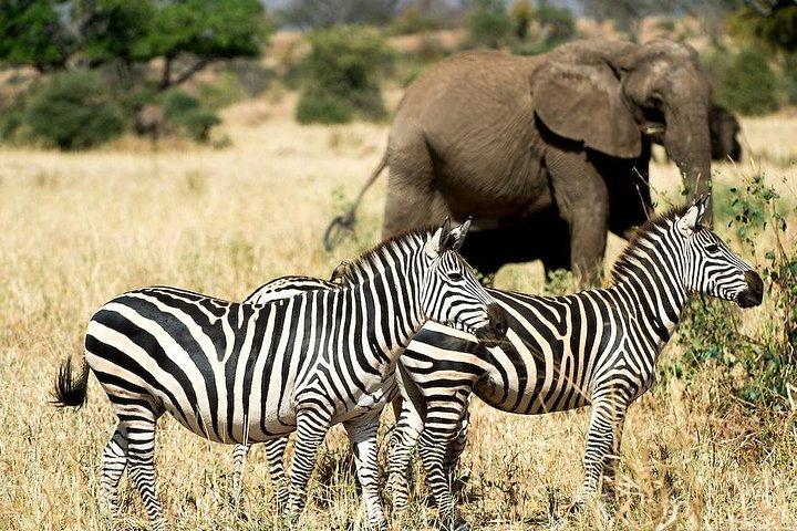 10 Days / 9 Nights Join group safari