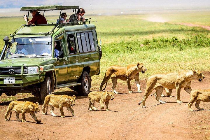3 Days Tanzania Safari - Manyara, Ngorongoro & Tarangire