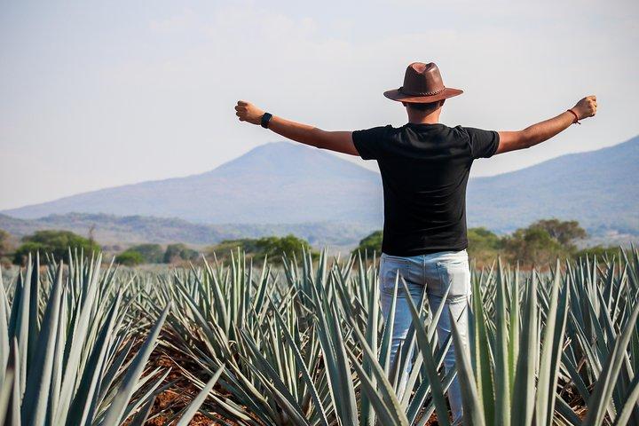 José Cuervo Tequila Day Experience from Guadalajara
