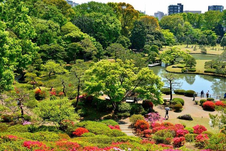 Off the beaten path special in Tokyo by walking