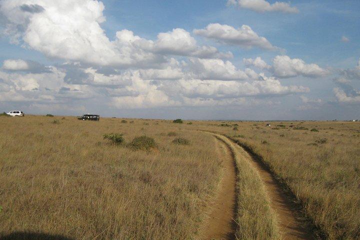 Maasai Mara road Safari 2 Nights 3 Days Group joining