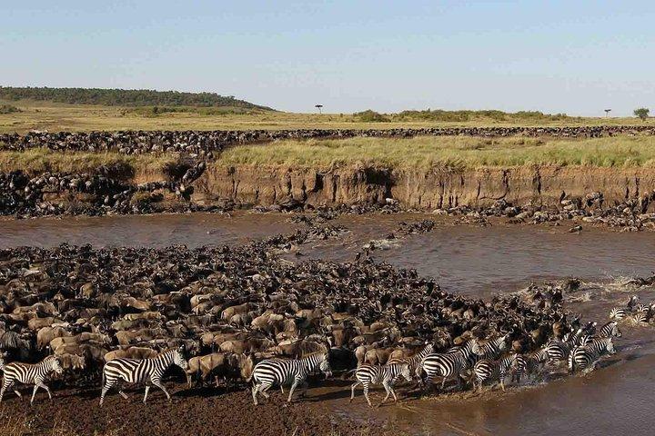 11 Days / 10 Nights Join group safari