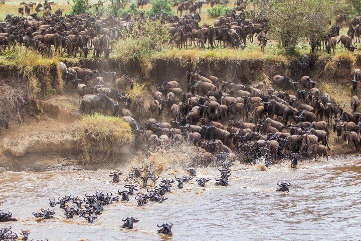 11 Days / 10 Nights Join group safari