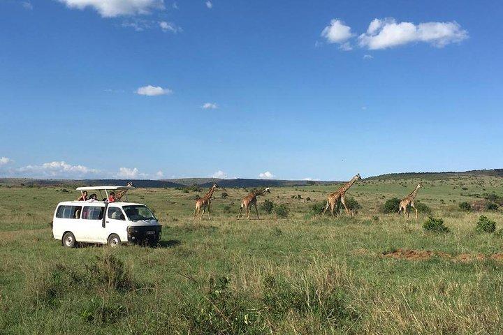 3 days Masai Mara