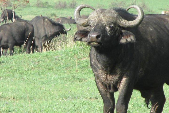 3 days Masai Mara