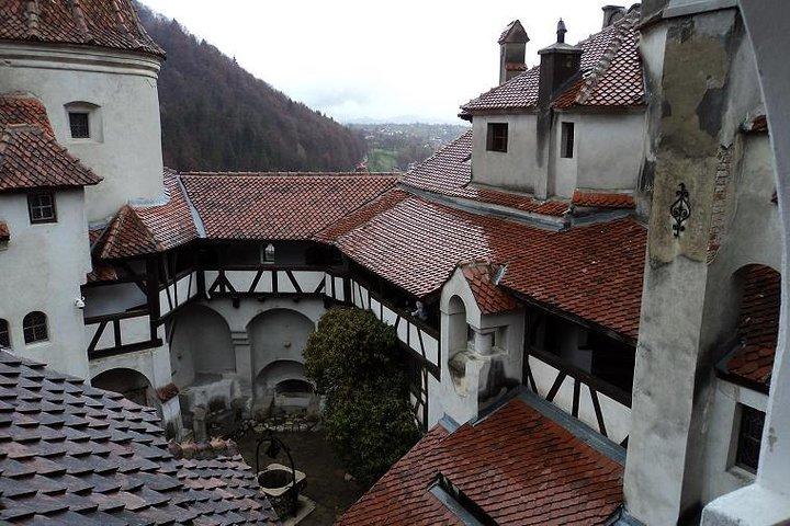 One day trip Bear Sanctuary, Dracula Castle, Rasnov Fortress from Brasov