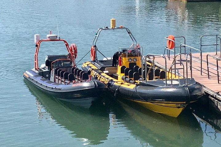 Exhilarating Rib experience - Dingle sea safari