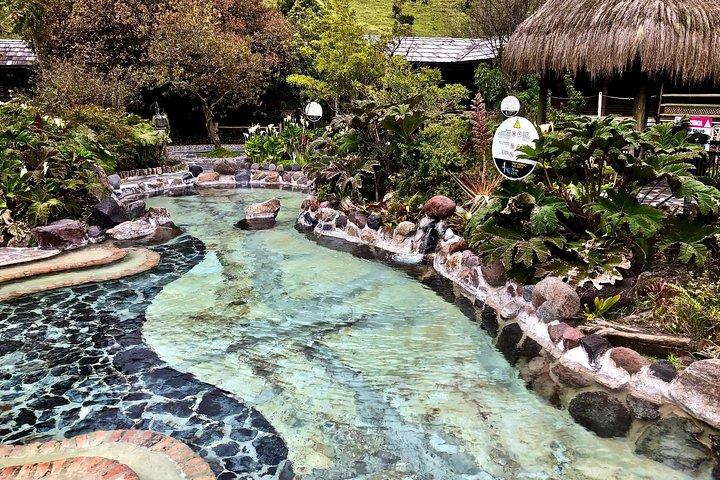 Papallacta Hot Springs & Cloud Forest Reserve Private Tour