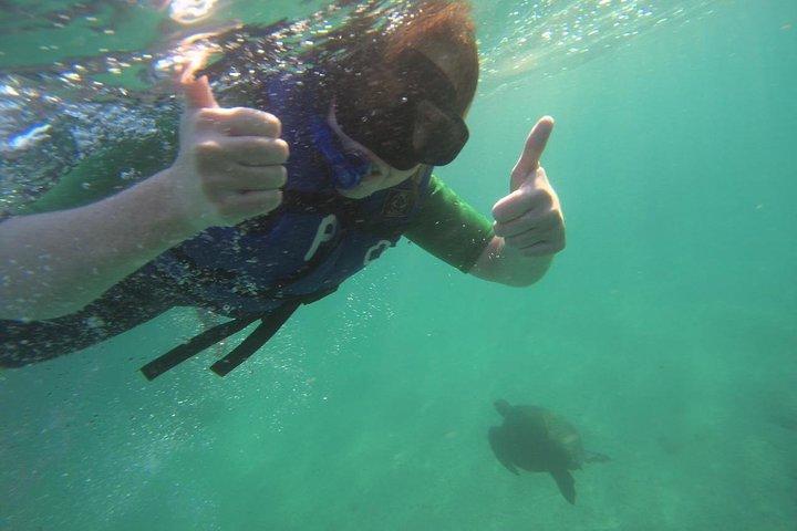 7-Day Galápagos Nature Tour: Explore Santa Cruz & Isabela Islands