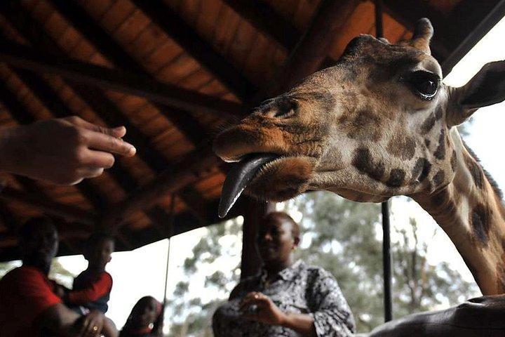 Giraffe Centre, Beads tour, karen Blixen Museum