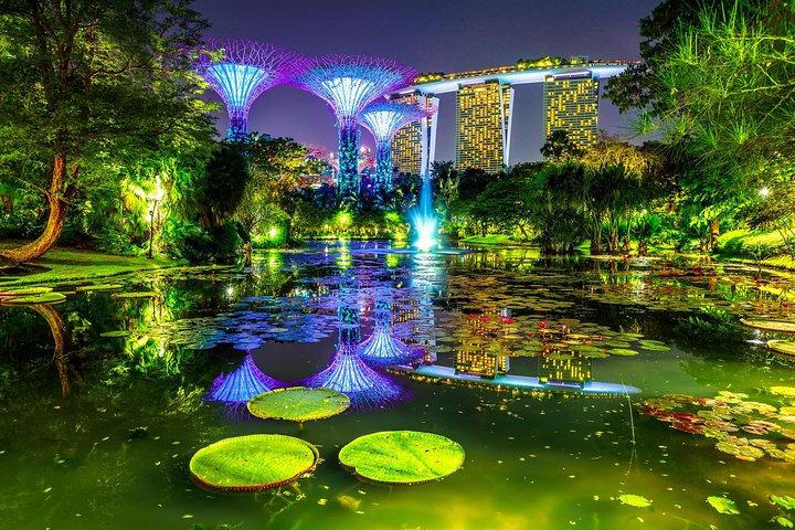 Singapore Night Tour with a Local: Private & 100% Personalized