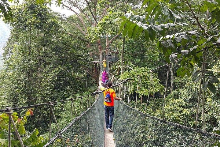 Forest Research Institute Malaysia (FRIM) Nature Trekking from Kuala Lumpur