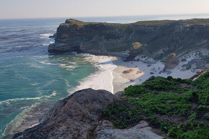 Private Tour Of Penguins, Cape Of Good Hope & Peninsula.