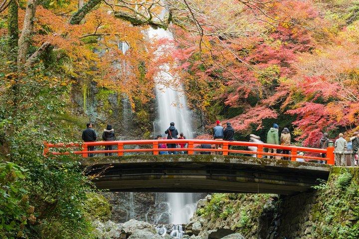 Nakazakicho Osaka: Private & Personalized Tour with a Local Guide