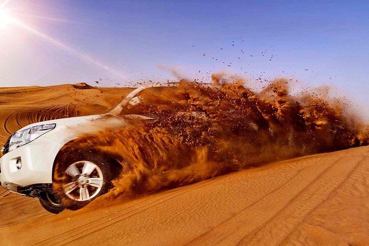 Dubai Desert Safari For Family Private Basis