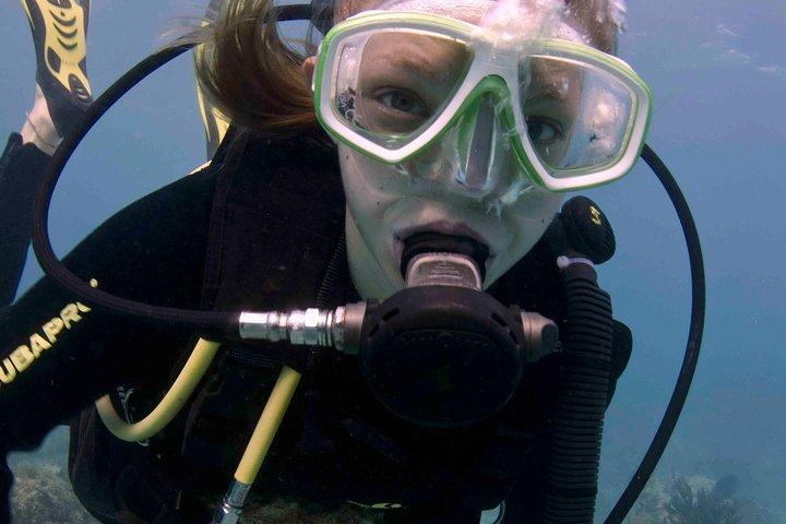 Discover Scuba Diving - One Tank at Coral Reef