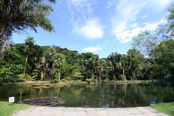 Botanical Garden and Parque Lage Private Tour with a Photographer