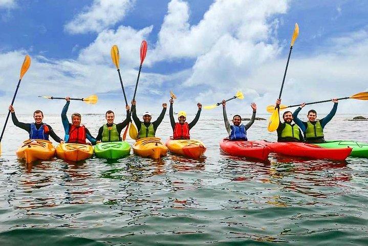Dublin Bay Seal Kayaking Safari at Dalkey
