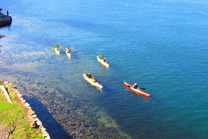 Sydney's Middle Harbour Sea Kayaking Eco Tour (Fully Guided)