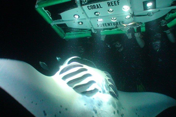 Kona’s Best Manta Ray Night Snorkel Small Group Experience