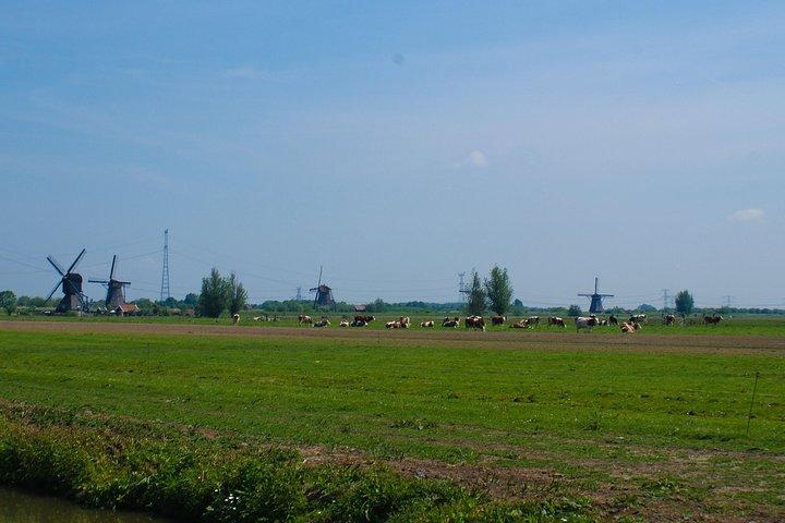 Kinderdijk Area Cycling Tour