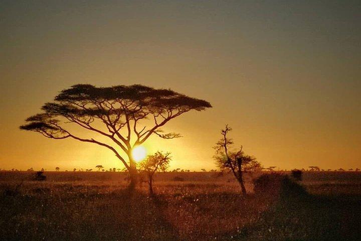3 Days Ngorongoro and Serengeti Mid Range Safaris