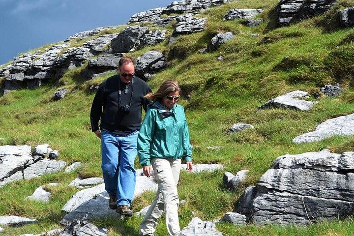 Small Group - Cliffs Cruise and Aran Islands in a Day from Galway