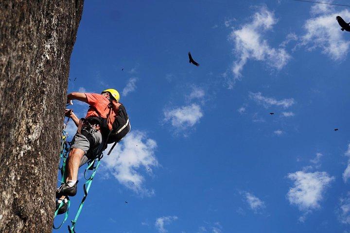 Climb Rio de Janeiro: Rock Climbing Tailored for All Levels