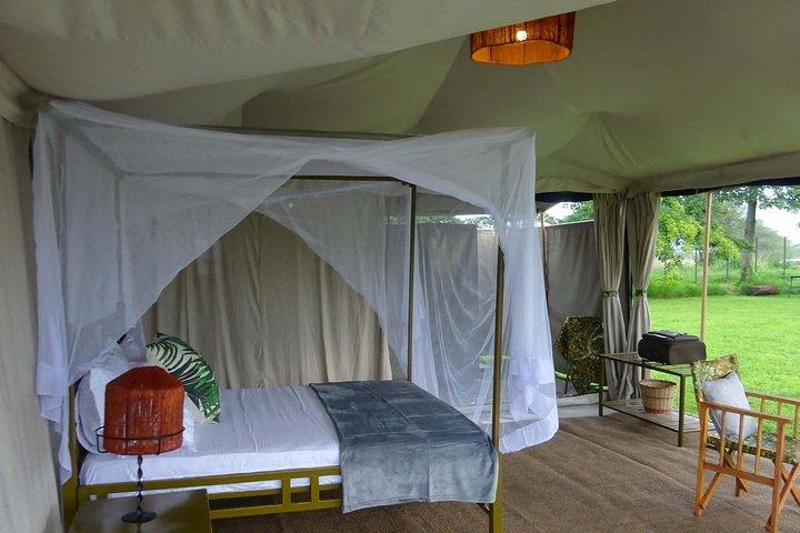 Tanzania Budget camping safaris
