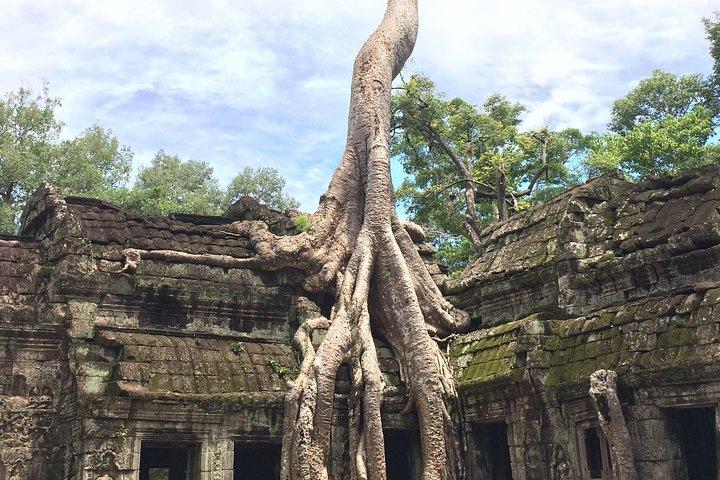 2-Days Private Angkor Wat Sunrise/Sunset Tours And Banteay Srei
