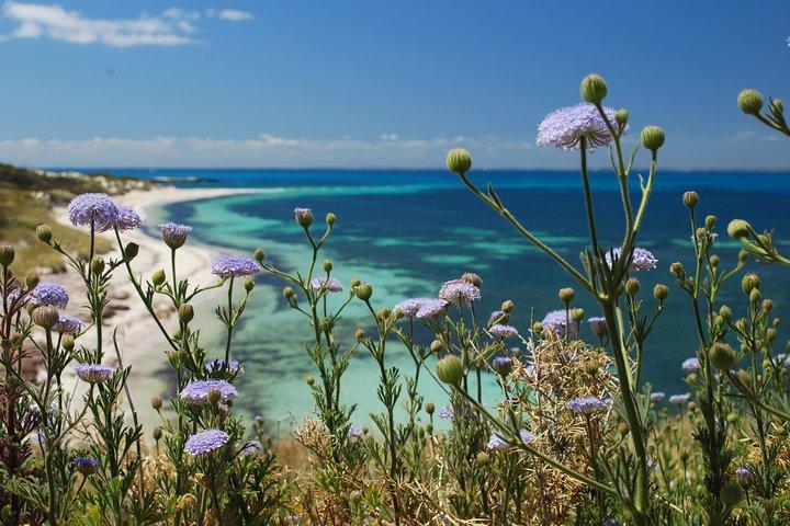 Rottnest Island Bayseeker Tour