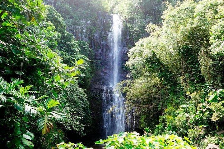 Road to Hana in Mercedes Van: Waterfalls and Black Sand Beach