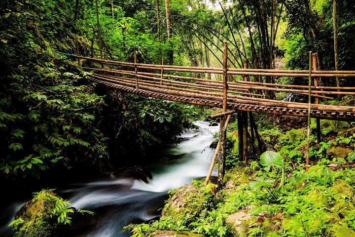 Waterfalls Tour