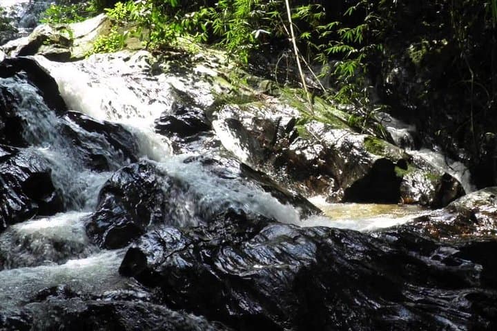 Kanching Waterfall Hot Spring and Kuala Selangor Firefly Tour