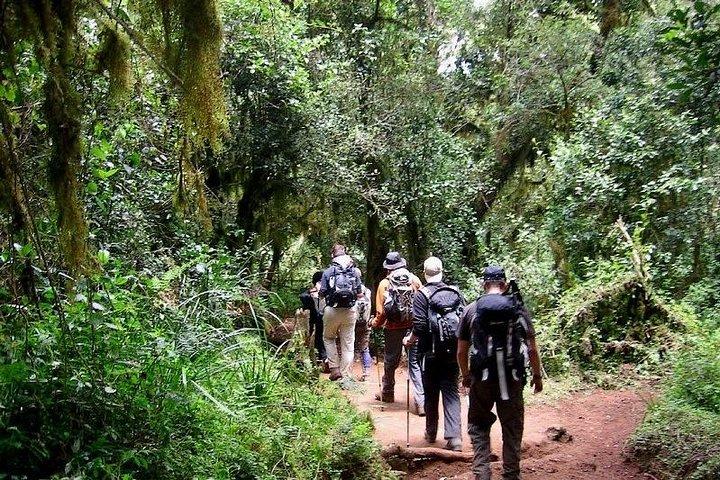 6 Day Marangu Route Trekking