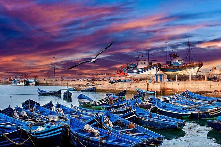 Full Day Trip To Essaouira From Marrakech