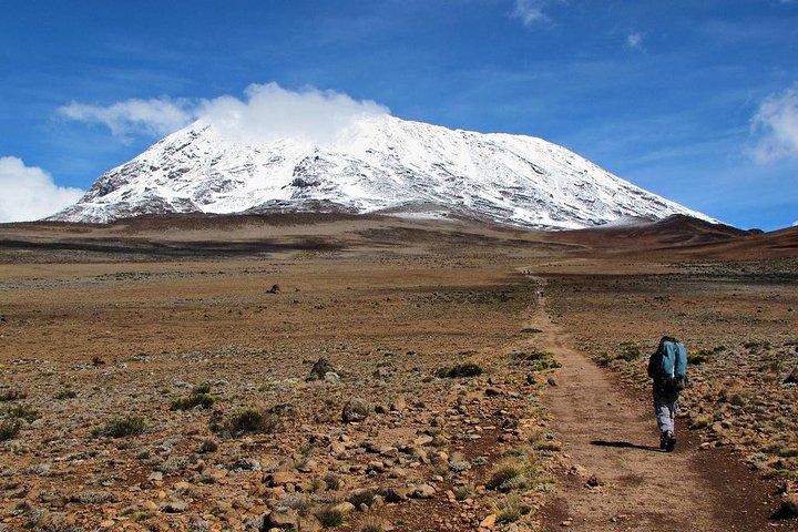 5 Days Mount Kilimanjaro Marangu Route