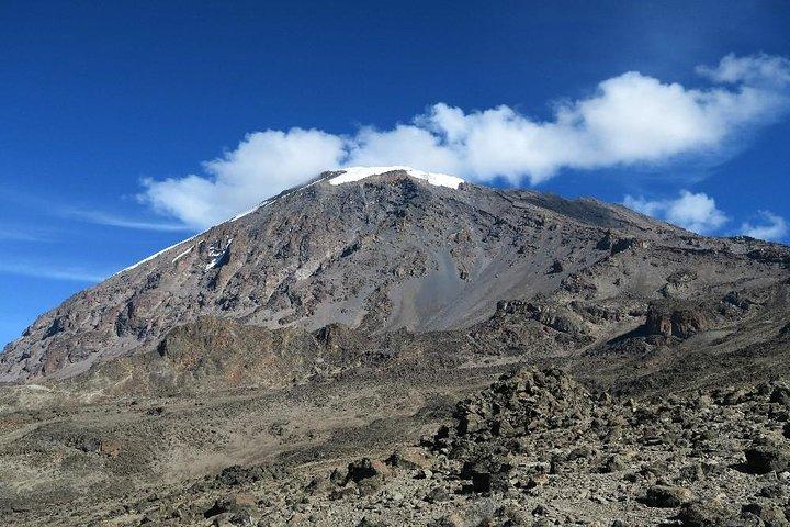 8 Days Mount Kilimanjaro Lemosho Route Climb