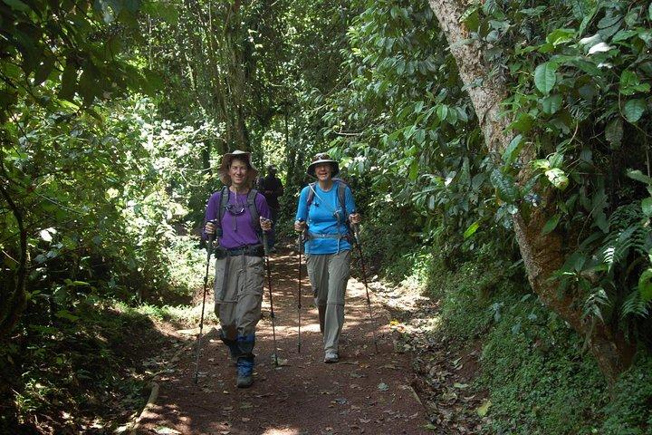 8 Days Mount Kilimanjaro Lemosho Route Climb