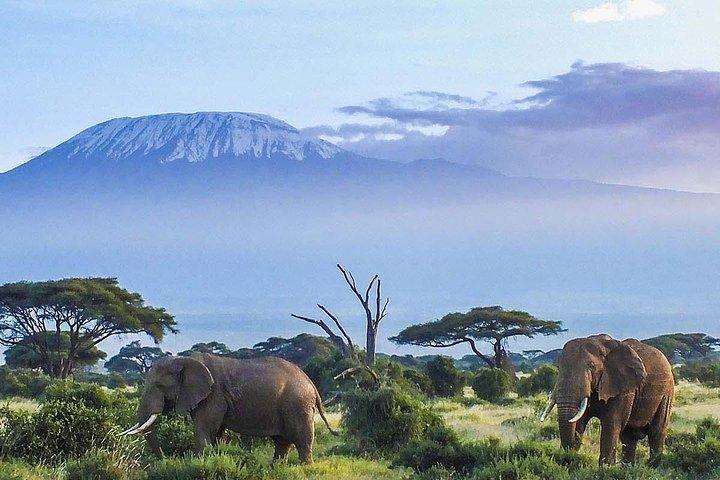 7 Days Mount Kilimanjaro Machame Route Climb.