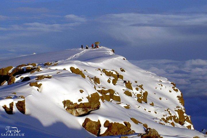8 Days Mount Kilimanjaro Lemosho Route Climb