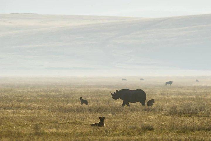 6 Days lodge safaris