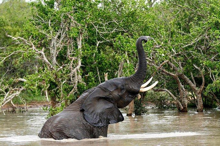 4 Day Kruger National Park and Panorama Route Safari