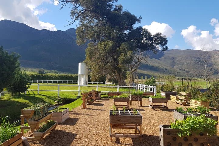 Scenic Private Wine Country Tour