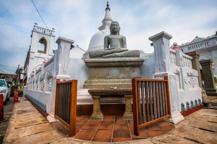 Southern Sri Lanka Sightseeing Private Day Trip