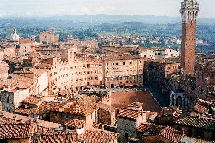 Half-day Private Walking Tour of Siena