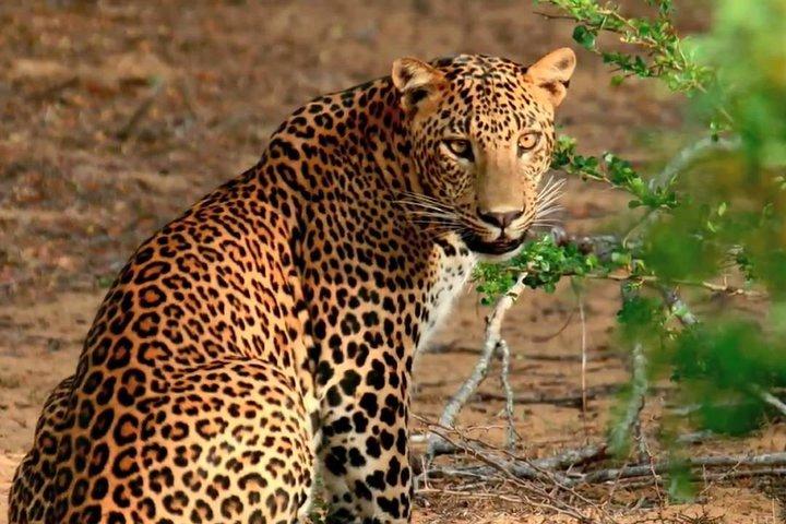3 Days Adventure and Wildlife Tour