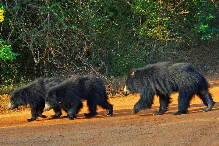3 Days Adventure and Wildlife Tour